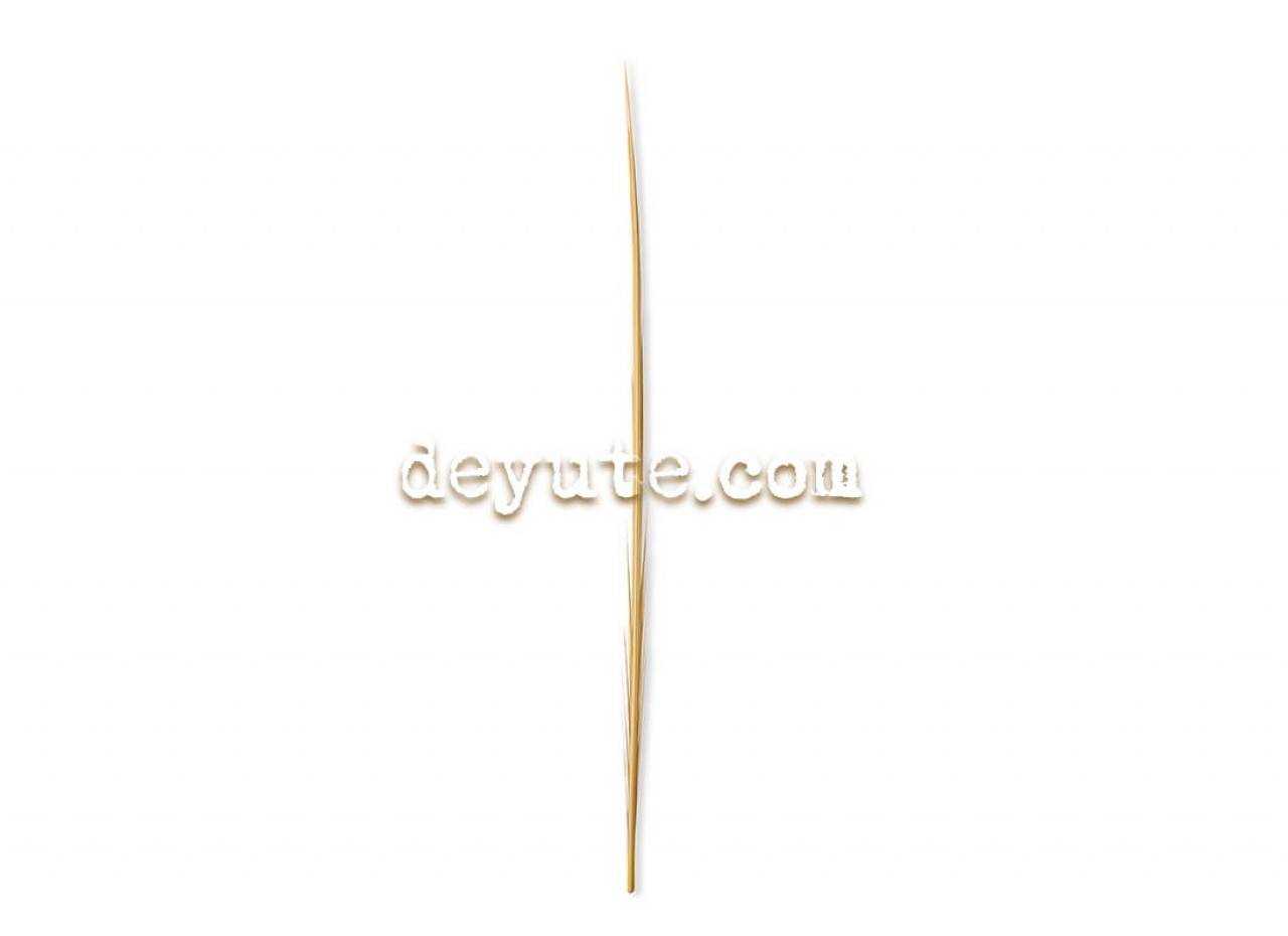 Palma lisa tradicional BURJ KALIFA