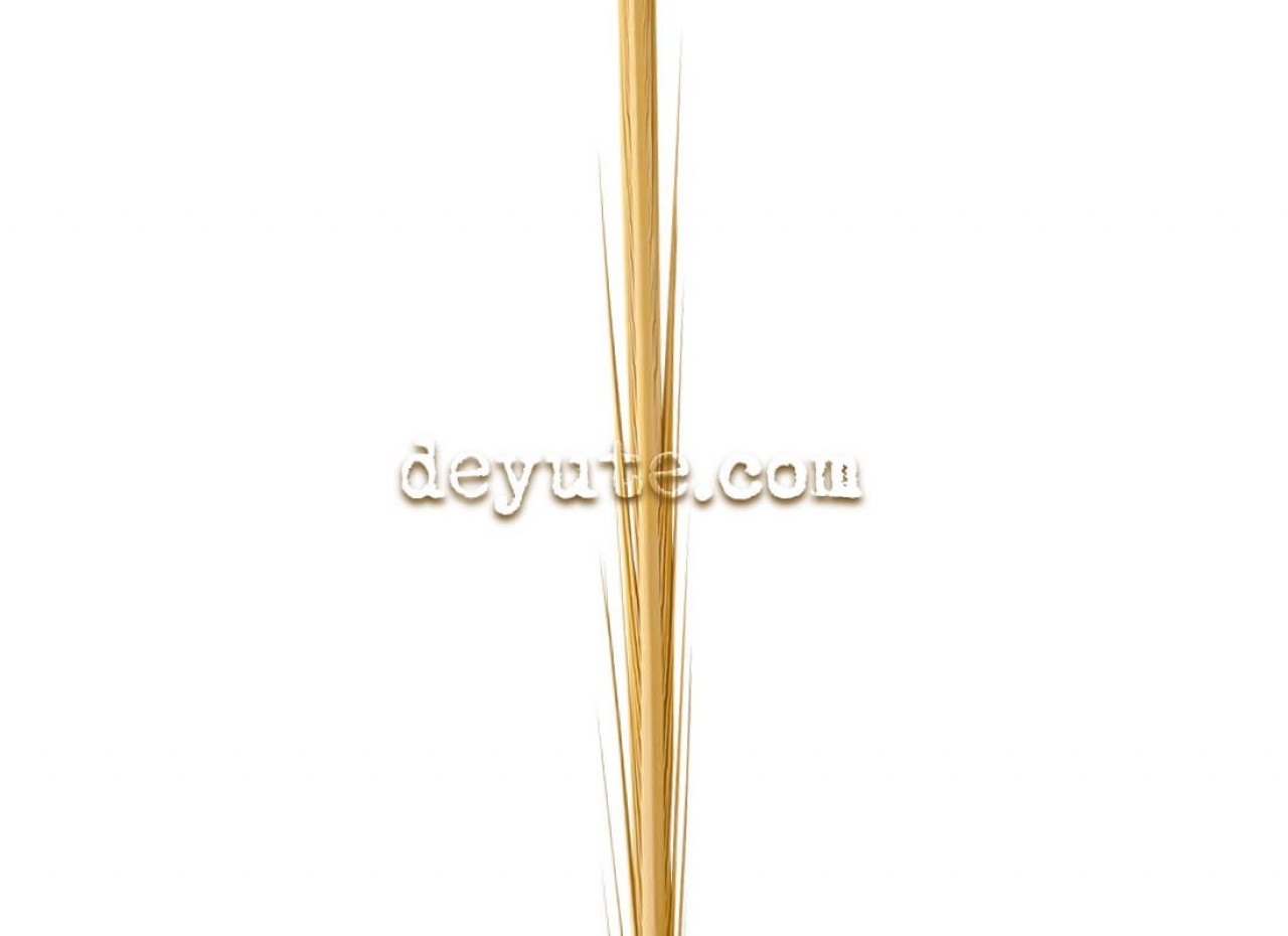 Palma lisa tradicional BURJ KALIFA - Imagen 2