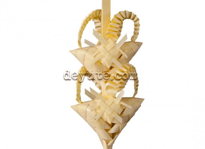 Palma blanca rizada DELTA - Imagen 2