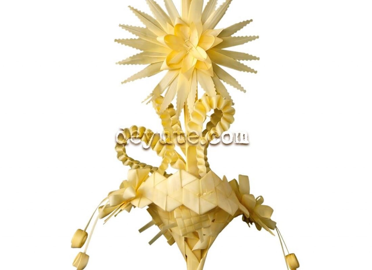 Palma blanca rizada EPSILON II - Imagen 2