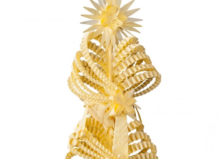 Palma blanca rizada ETA - Imagen 2