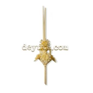 Palma blanca rizada GAMMA