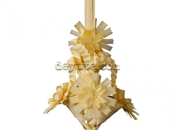 Palma blanca rizada GAMMA - Imagen 2