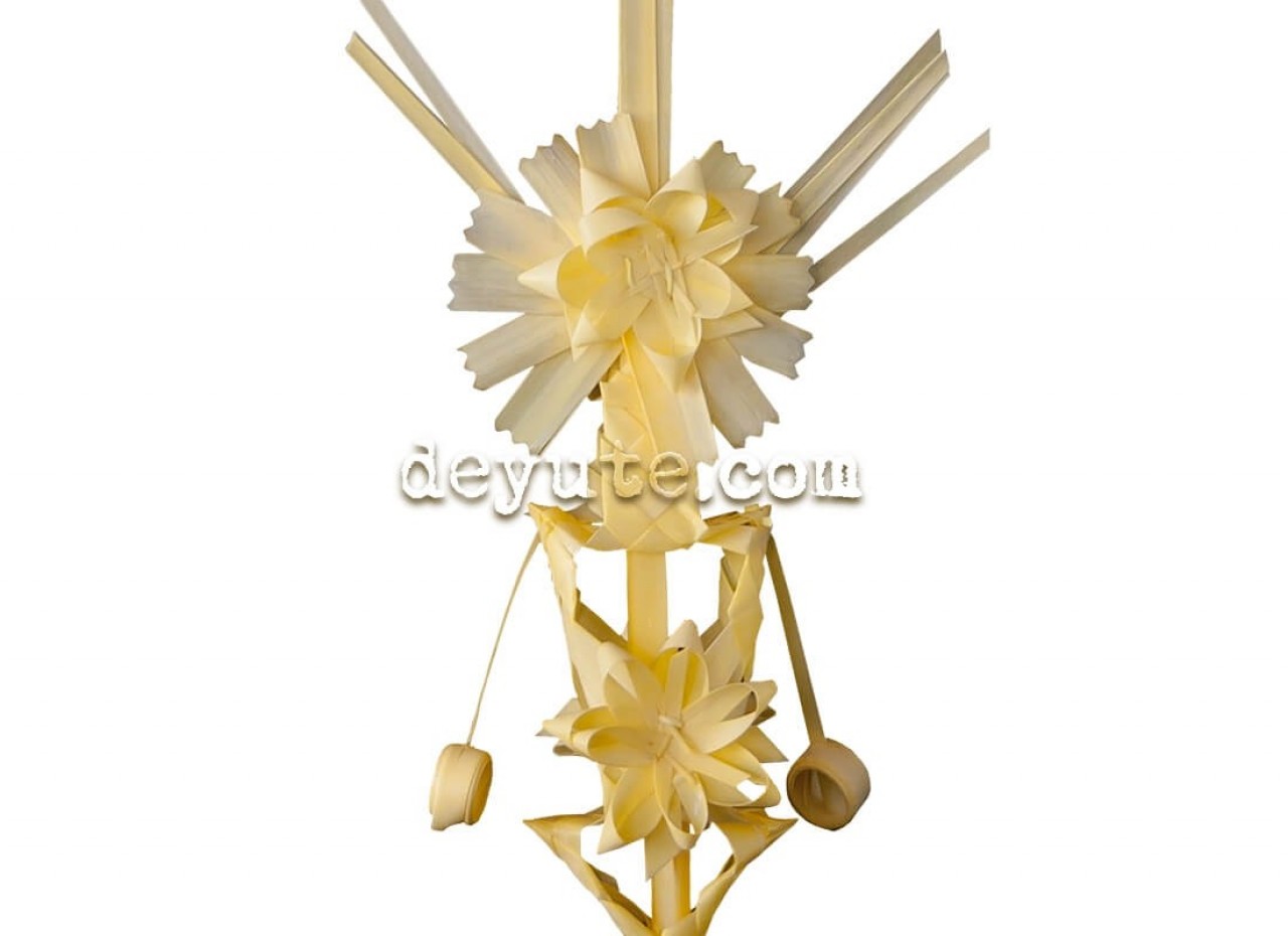 Palma blanca rizada JI - Imagen 2