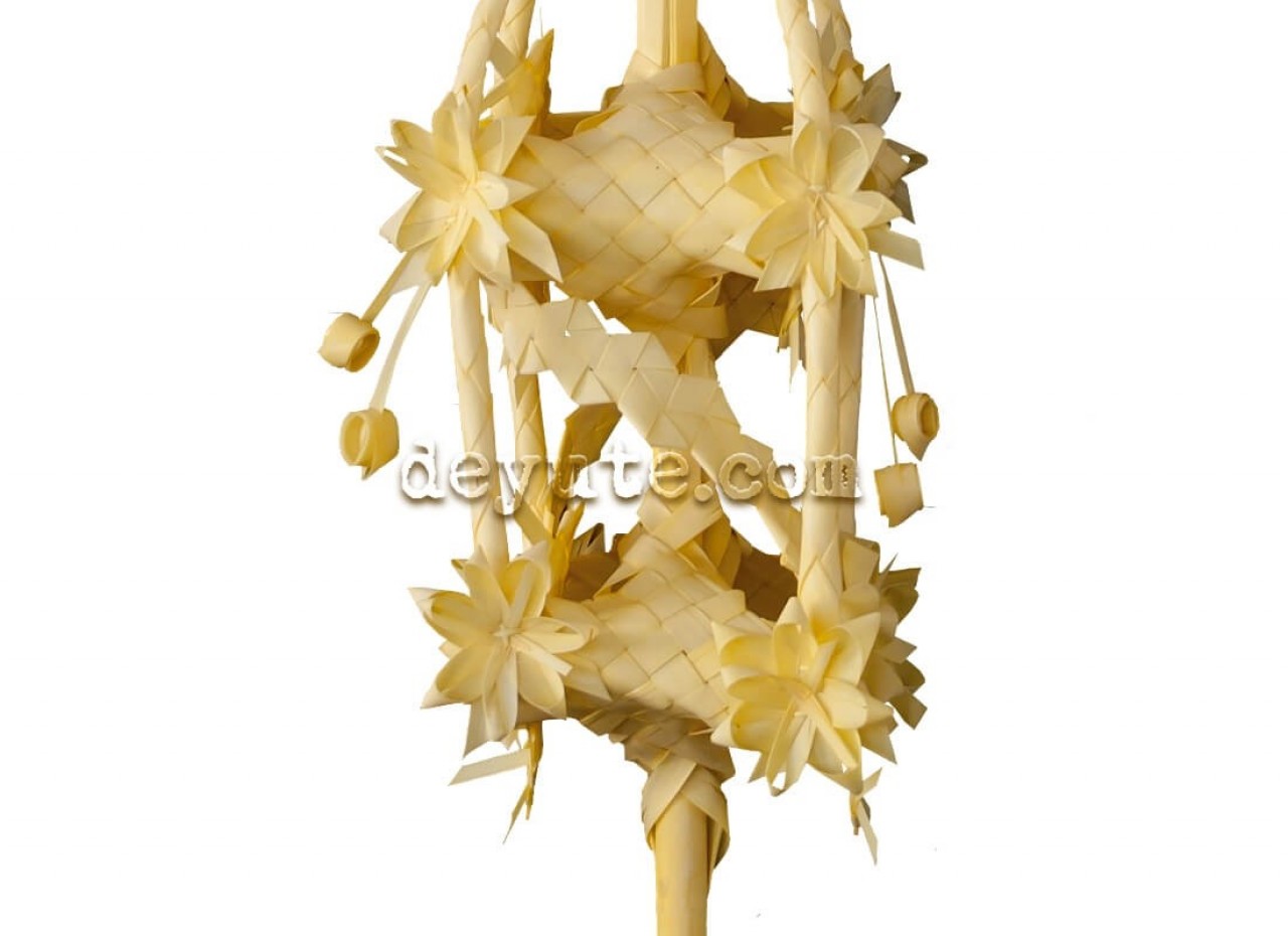 Palma blanca rizada LAMBDA - Imagen 2