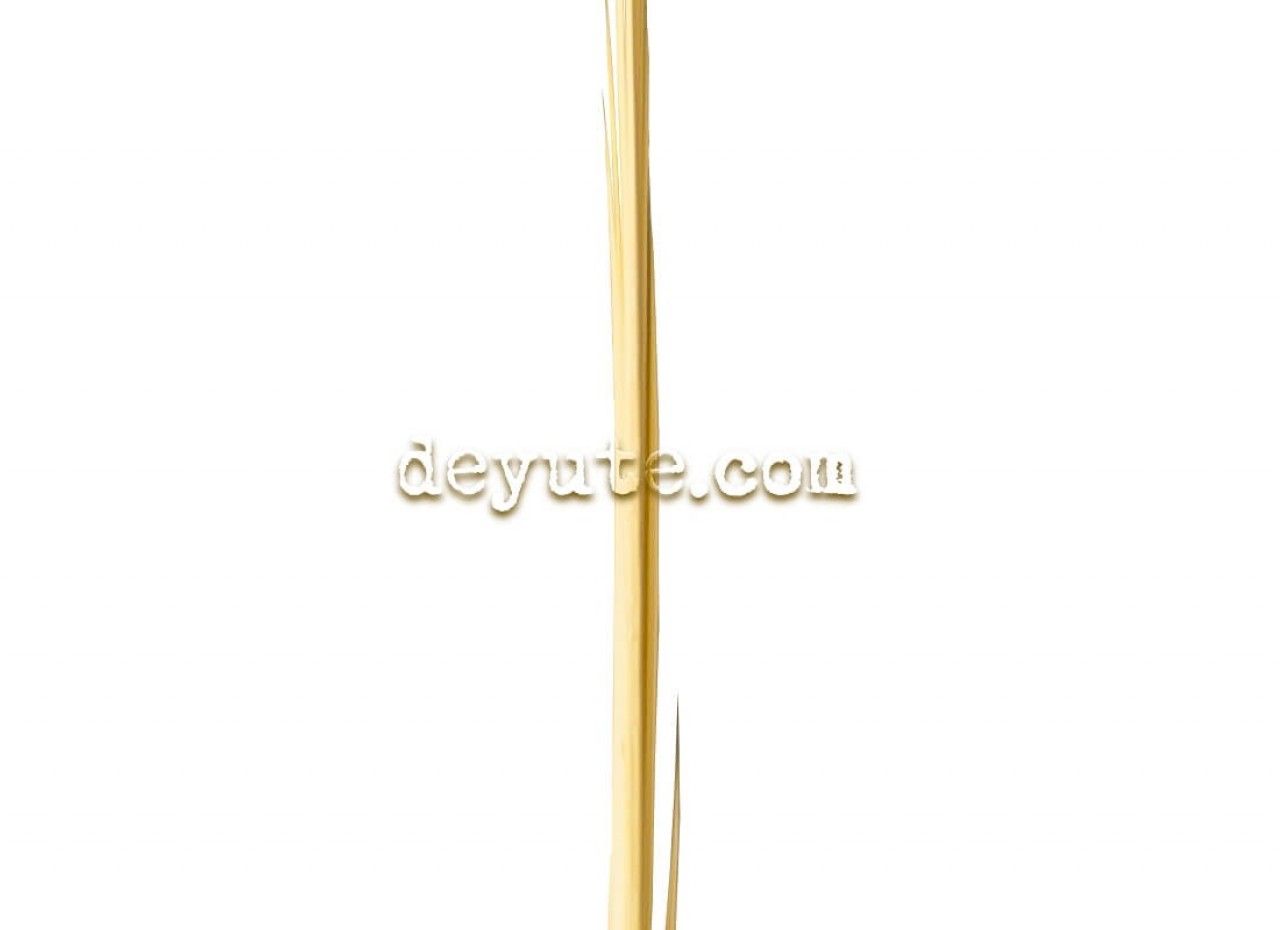 Palma blanca lisa SEAGRAM - Imagen 2