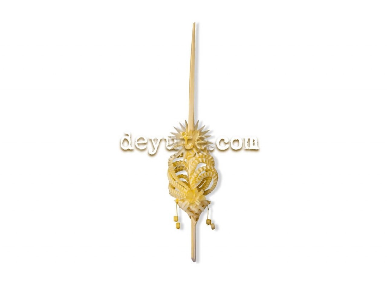 Palma blanca rizada THETA