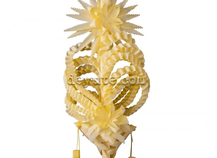 Palma blanca rizada THETA - Imagen 2