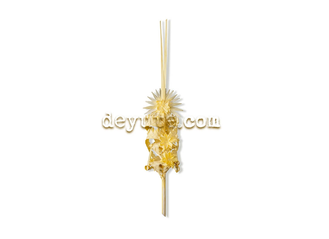 Palma blanca rizada IOTA