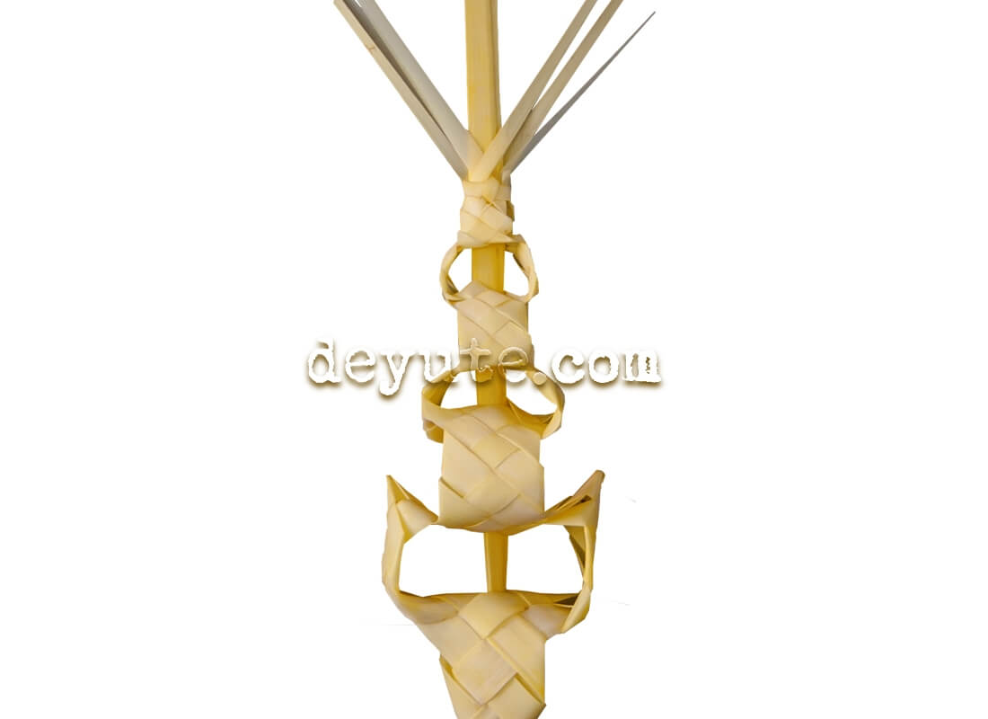 Palma blanca rizada PSI - Imagen 2