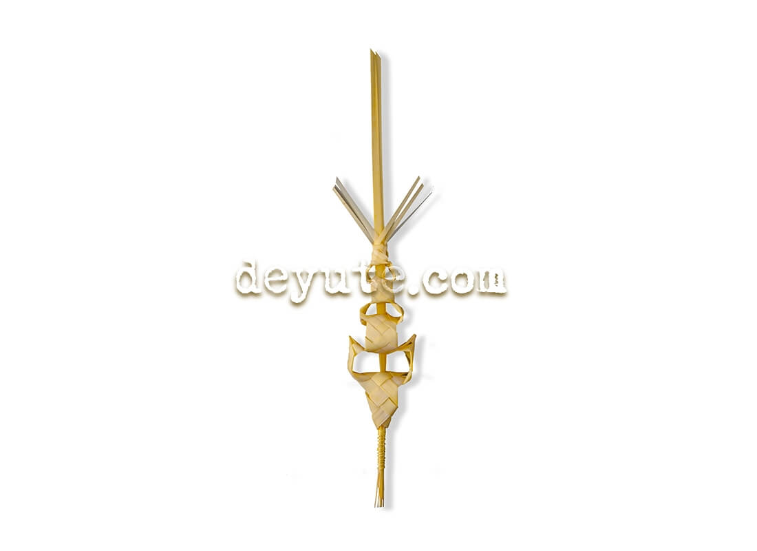 Palma blanca rizada PSI