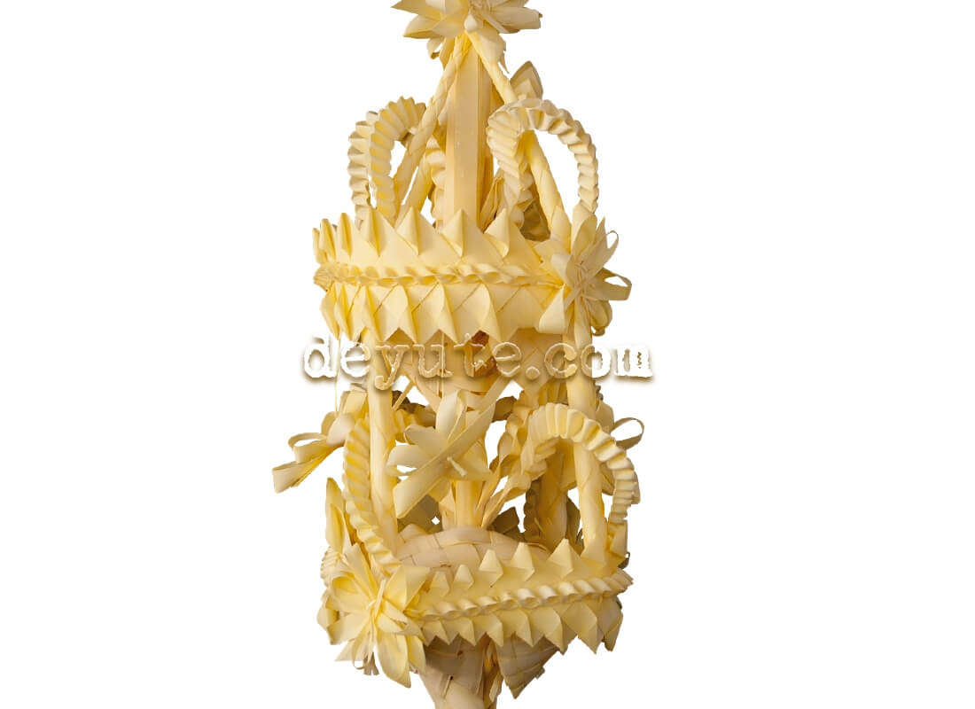 Palma blanca rizada SIGMA - Imagen 2