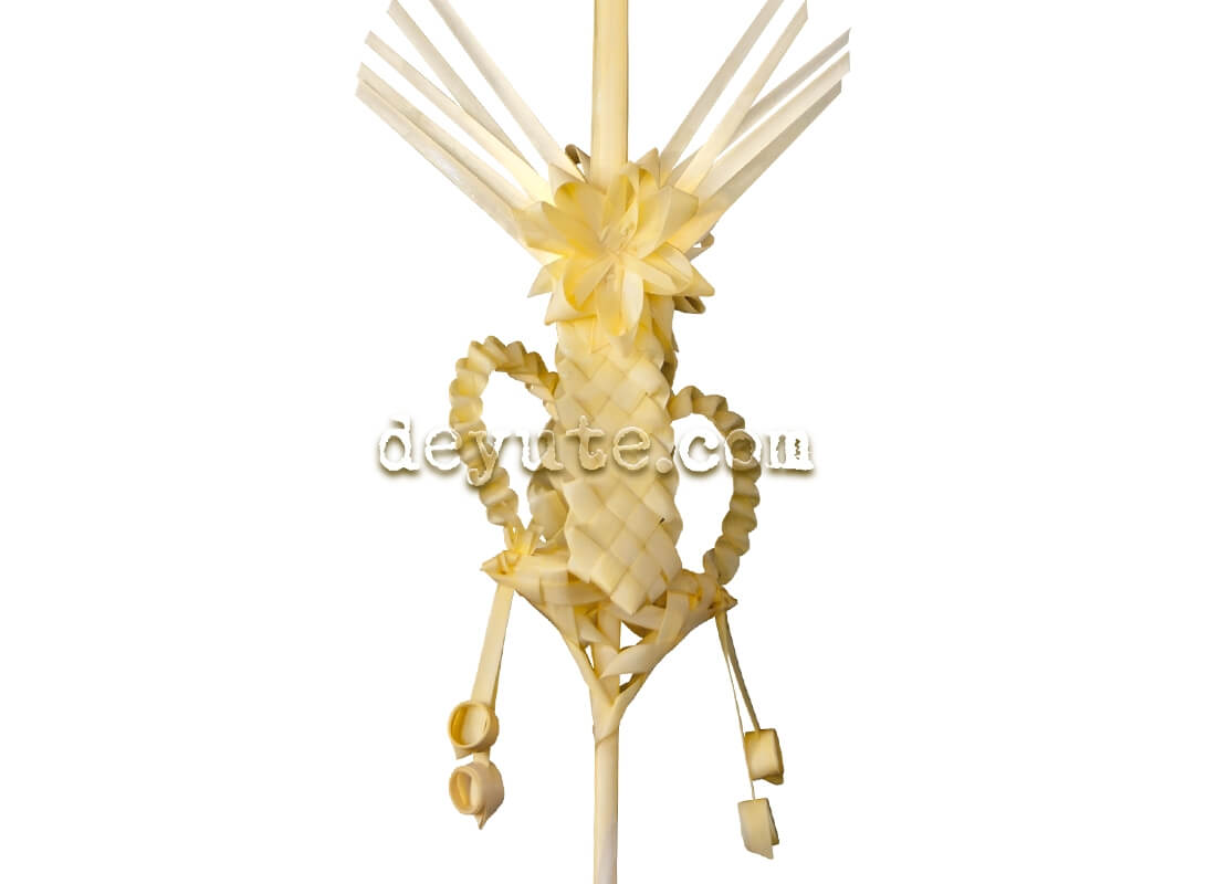 Palma blanca trenzada BETA II - Imagen 2