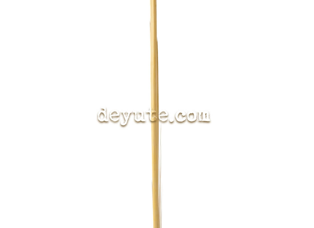 Palma lisa tradicional SHANGHAI WTC - Imagen 2