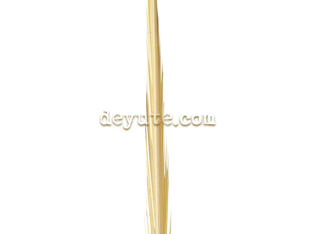 Palma lisa tradicional TAIPEI 101 - Imagen 2