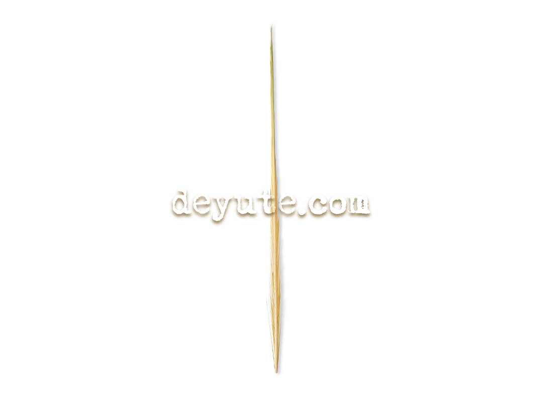 Palma lisa tradicional TAIPEI 101