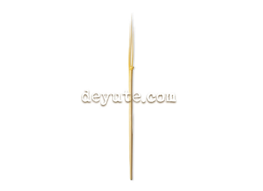 Palma tradicional CHRYSLER