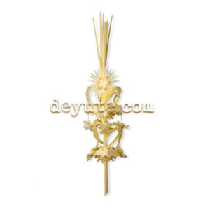 Palmas blancas rizadas DELTA II