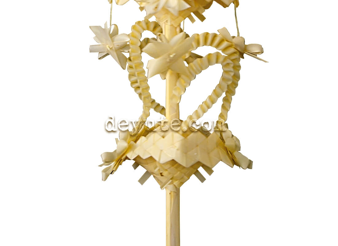 Palmas blancas rizadas DELTA II - Imagen 2