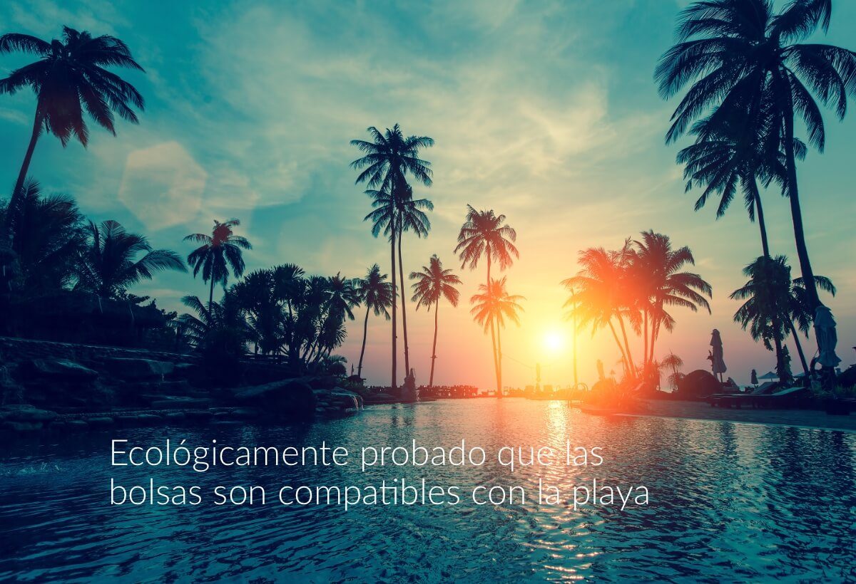 bolsas compatibles con la playa
