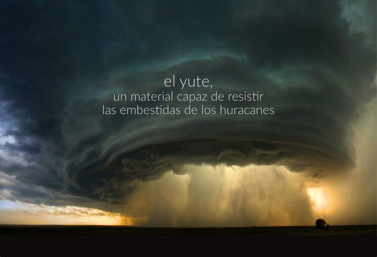yute material capaz de resistir los huracanes