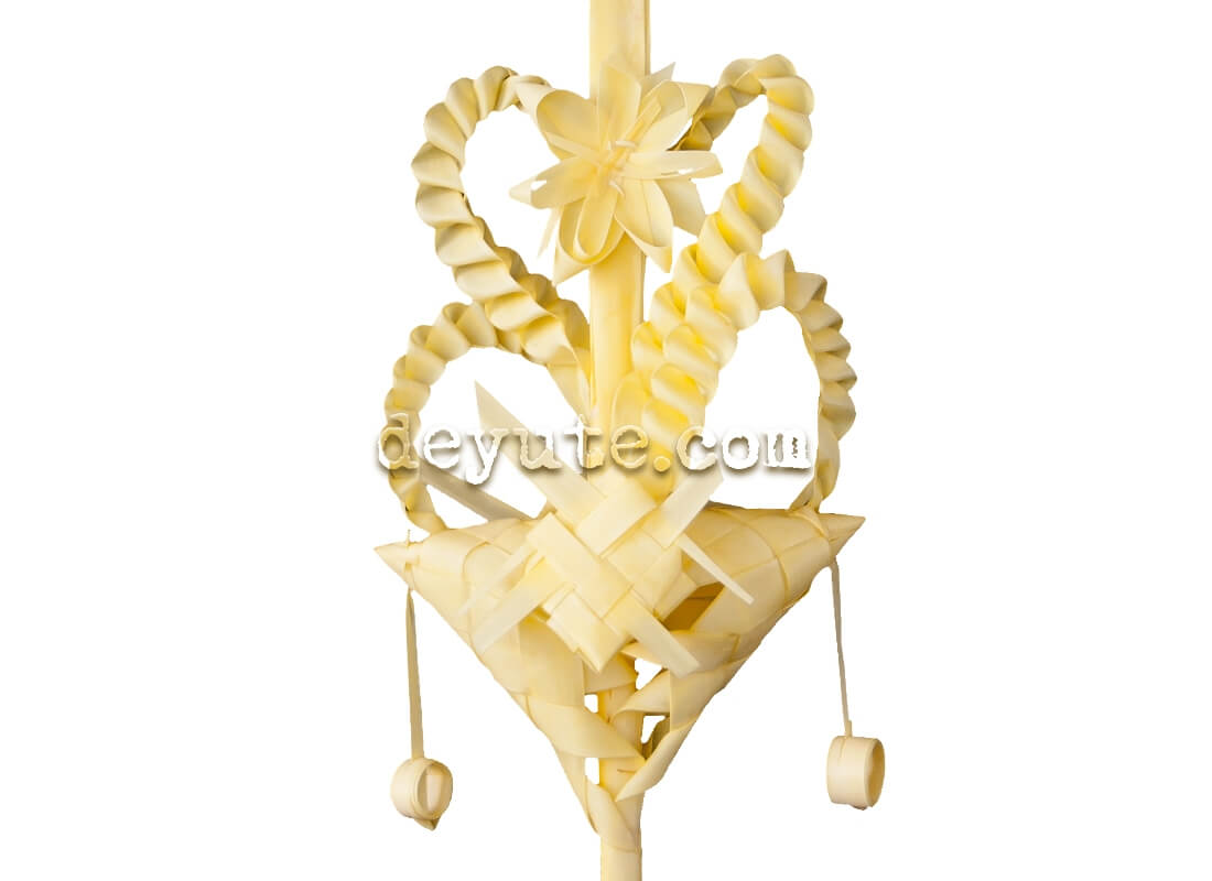 Palma blanca rizada BETA - Imagen 2