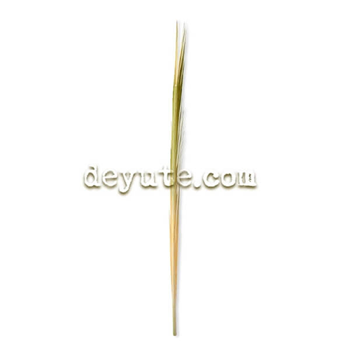 Palma blanca de yute